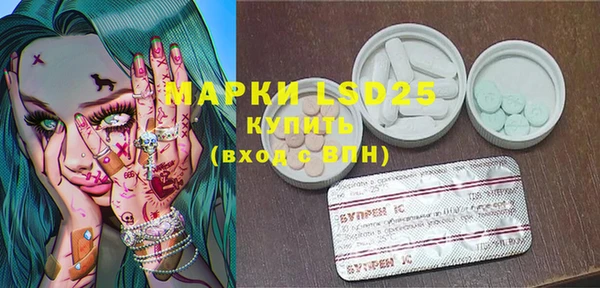 ГАЛЛЮЦИНОГЕННЫЕ ГРИБЫ Осинники