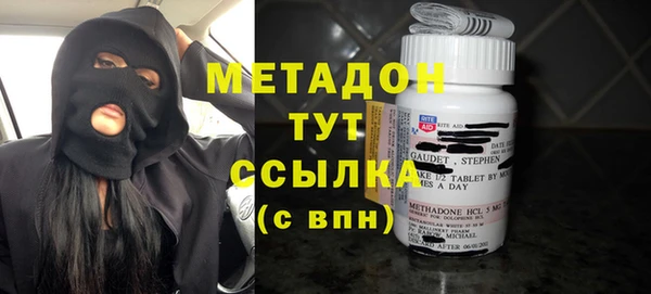 стаф Алексин