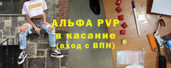 стаф Алексин
