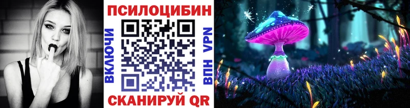 наркота  Бабаево  Псилоцибиновые грибы Cubensis 