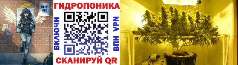 Марихуана OG Kush  Бабаево 